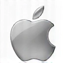 Apple Pay Logo